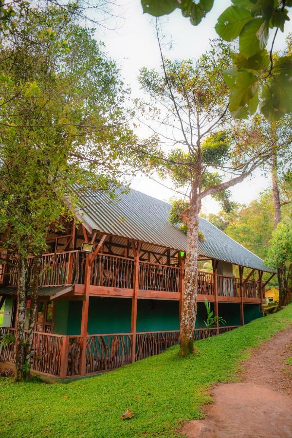 Cinnamon Village Sinharaja 3*