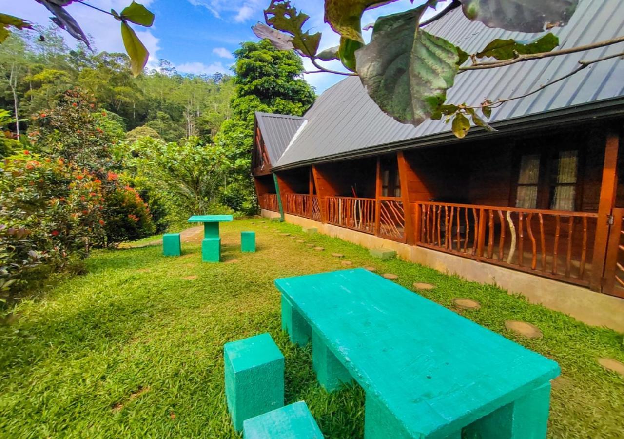 Cinnamon Village Sinharaja 3*