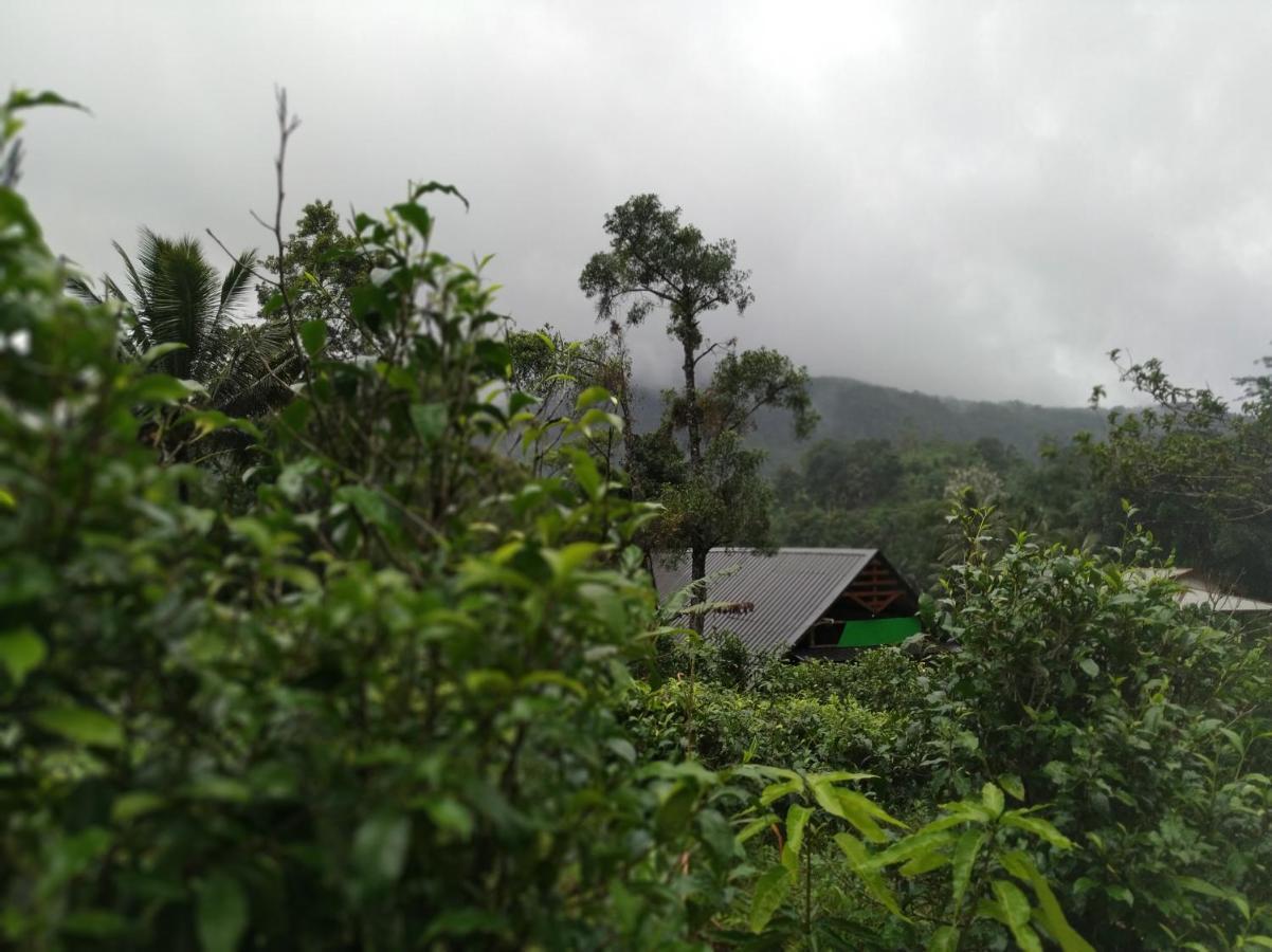 Cinnamon Village Sinharaja होटल